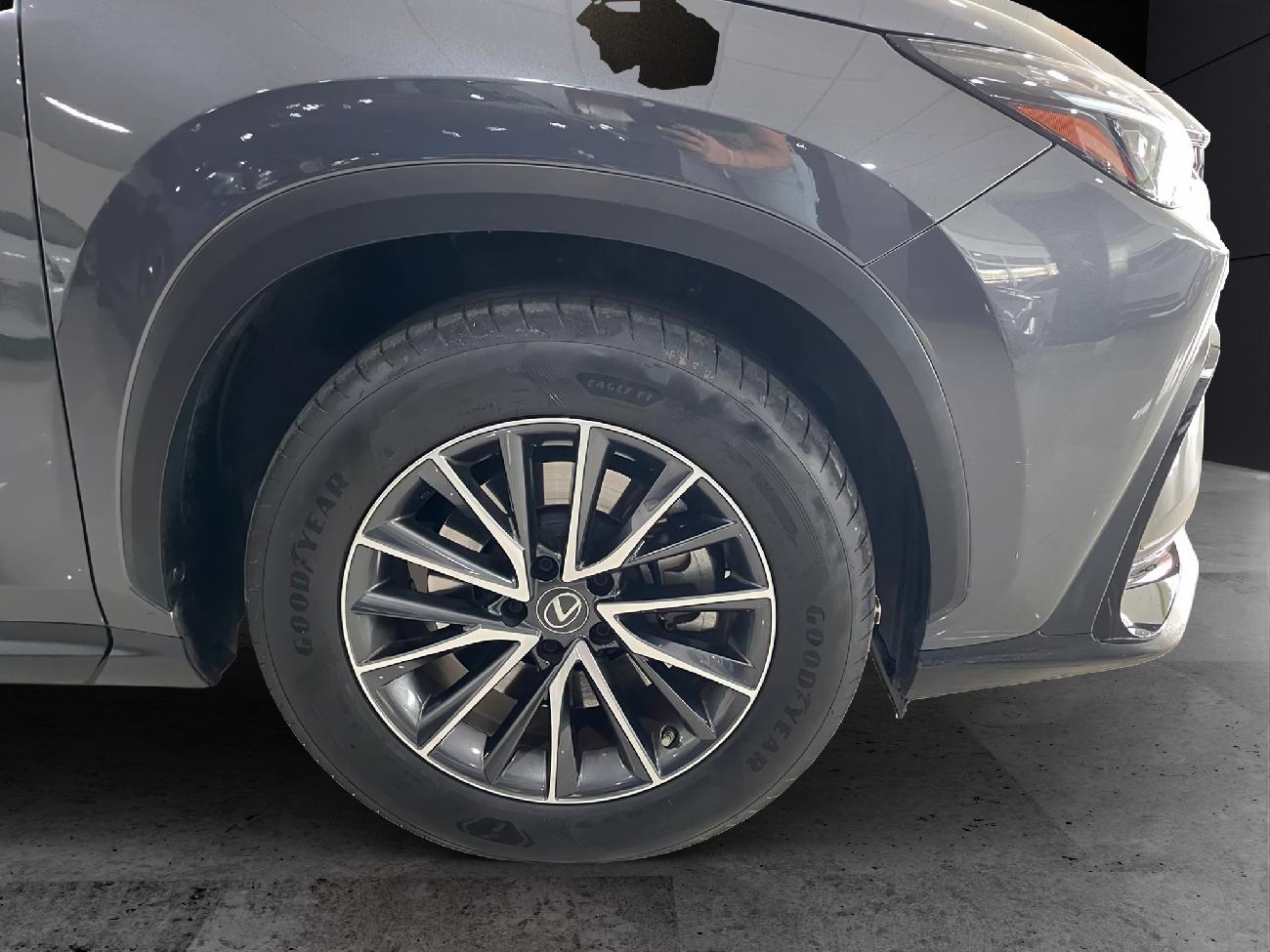 2022 Lexus NX NX 450h+ Executive 4WD coche de segunda mano