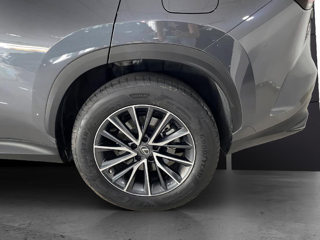 2022 Lexus NX NX 450h+ Executive 4WD coche de segunda mano