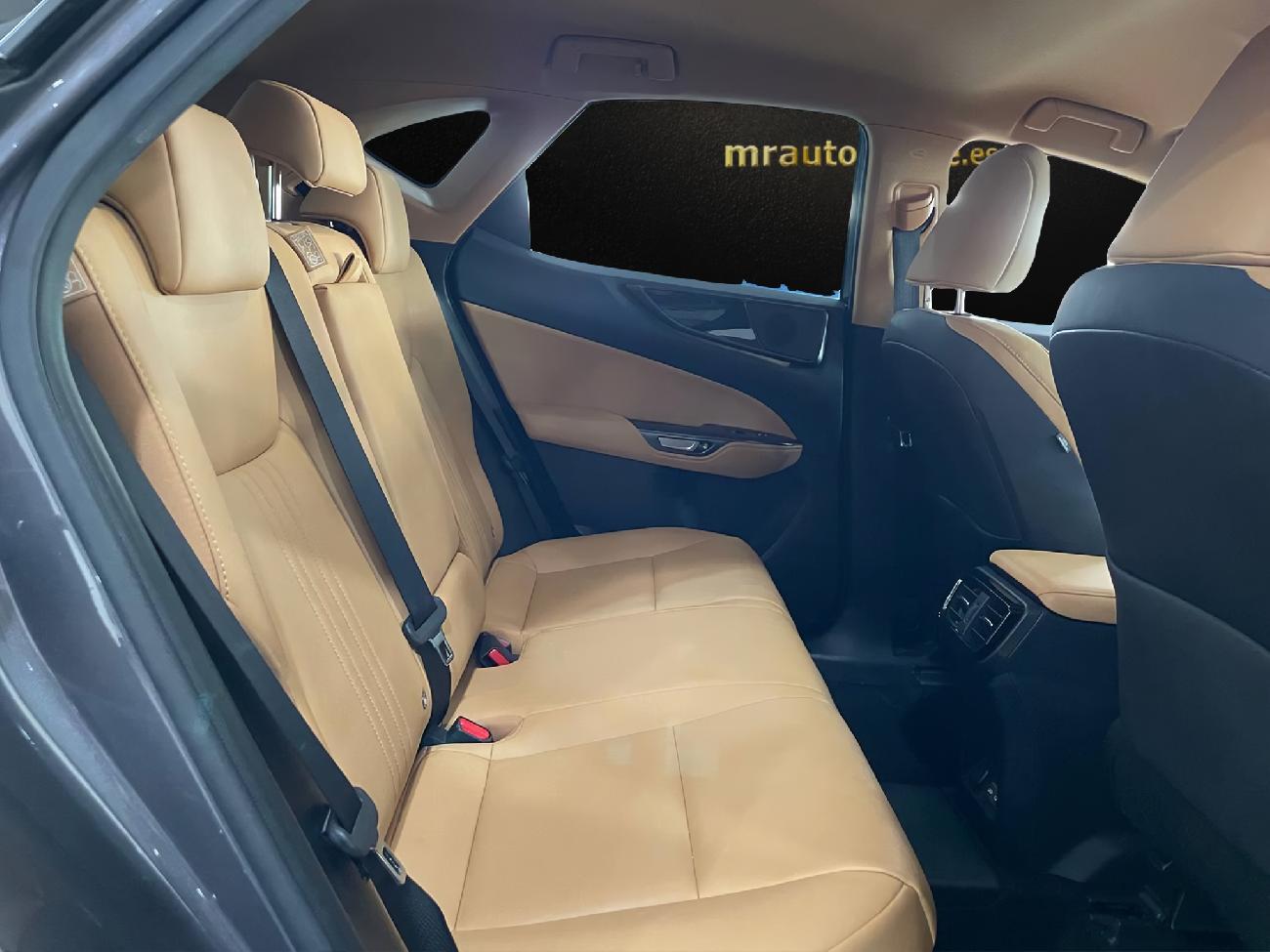 2022 Lexus NX NX 450h+ Executive 4WD coche de segunda mano